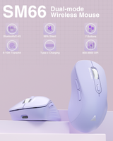 SM66 Dual Mode Wireless Gaming Mouse, Rechargeable RGB Ergonomic Mice with Adjustable DPI ,purple