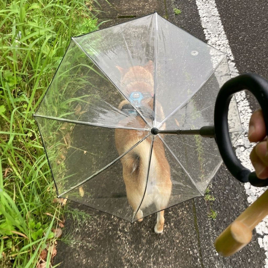 C-Handle Transparent Pet Umbrella with Adjustable Leash Strap – Hands-Free Rain Protection for Small to Medium Dogs and Cats, Flexible Tilt Shaft, Durable Alloy Frame, Ideal for Wet Weather Walks (Adjustable Webbing Version)