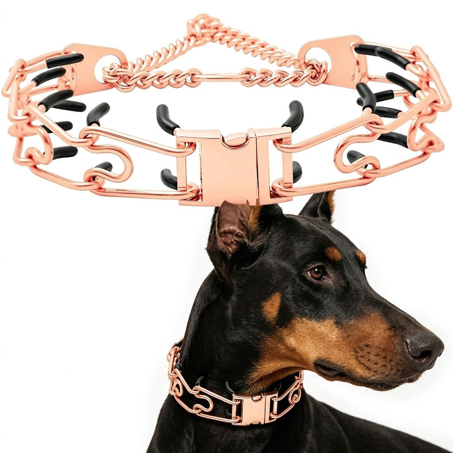 Premium Quick-Release Dog Training Chain Collar with Stimulation Nodes – Durable Stainless Steel Slip Collar for Large & Medium Breeds, Correct Pulling and Jumping Behaviors with Comfortable Rubber-Tipped Prongs. (L, Black)
