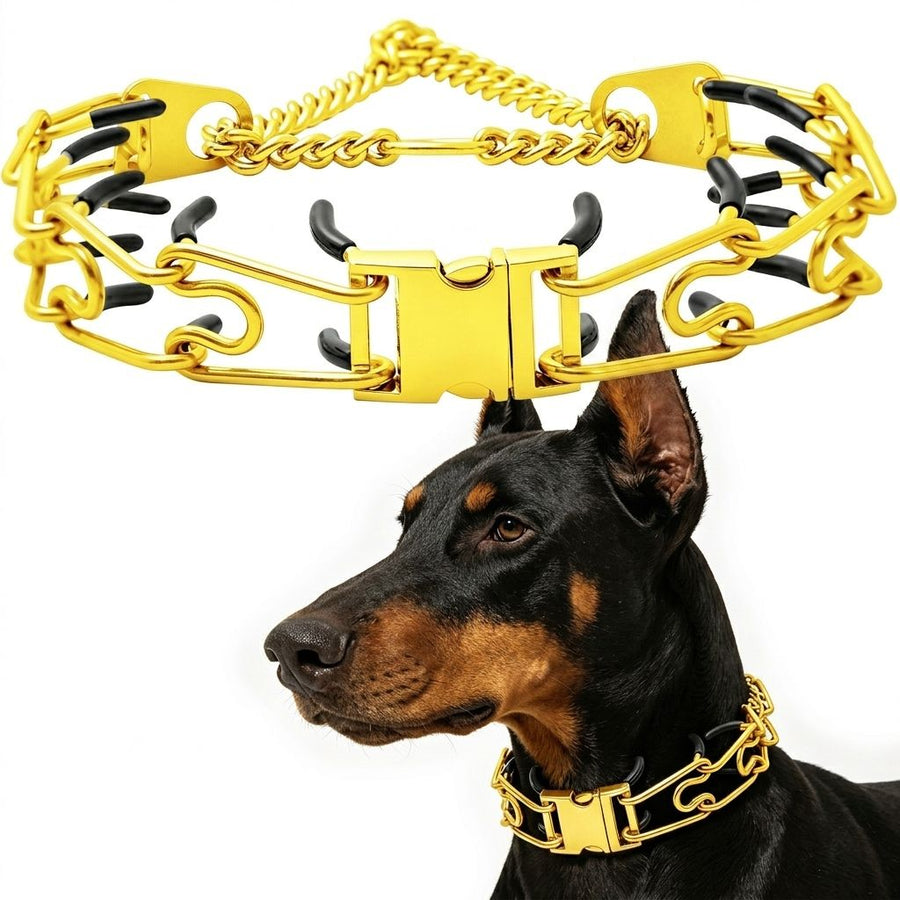 Premium Quick-Release Dog Training Chain Collar with Stimulation Nodes – Durable Stainless Steel Slip Collar for Large & Medium Breeds, Correct Pulling and Jumping Behaviors with Comfortable Rubber-Tipped Prongs. (M, Black)
