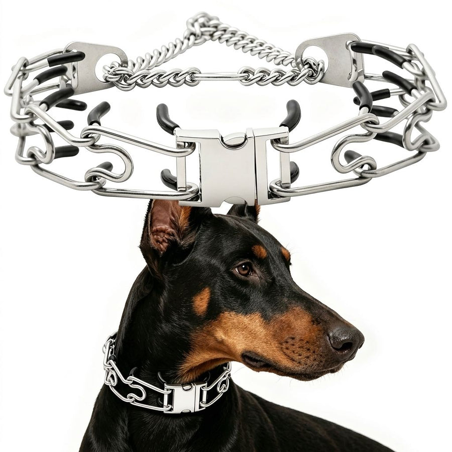 Premium Quick-Release Dog Training Chain Collar with Stimulation Nodes – Durable Stainless Steel Slip Collar for Large & Medium Breeds, Correct Pulling and Jumping Behaviors with Comfortable Rubber-Tipped Prongs. (M, Black)