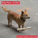 Dog Speed Limiter Anti-Chase Training Stick with Stainless Steel Tube, Adjustable Chain Collar Set for Small, Medium, and Large Breeds – Safe Outdoor Control Tool (S（7.87in）)