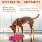 Interactive Plush Snuffle Mat for Dogs – Pineapple & Dragon Fruit Hide-and-Seek Treat Puzzle Toy, Mental Stimulation & Slow Feeding Enrichment for Indoor Play, Fun Nose Work Training Aid (Pineapple)