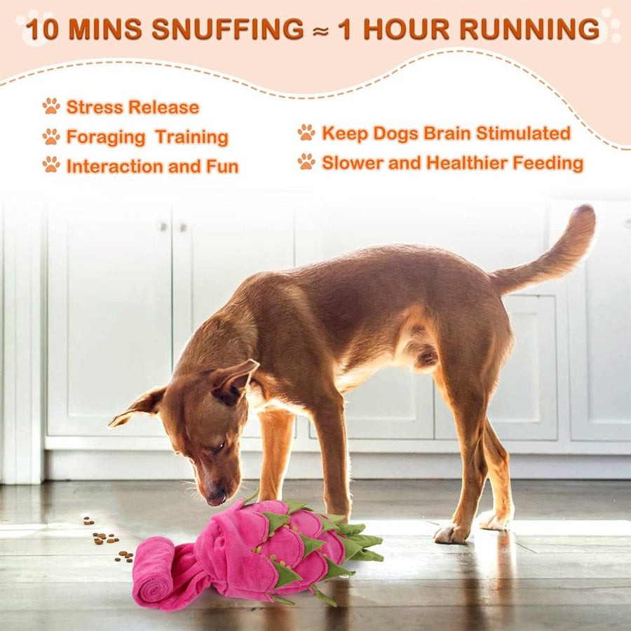 Interactive Plush Snuffle Mat for Dogs – Pineapple & Dragon Fruit Hide-and-Seek Treat Puzzle Toy, Mental Stimulation & Slow Feeding Enrichment for Indoor Play, Fun Nose Work Training Aid (Pineapple)