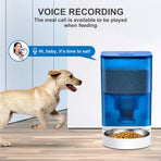 Smart Pet Feeder with WiFi and Button Control, 4L Automatic Cat and Dog Food Dispenser with Removable Stainless Steel Bowl, Ideal for Busy Owners, Travel, and Home Use (Grey, Button Version)