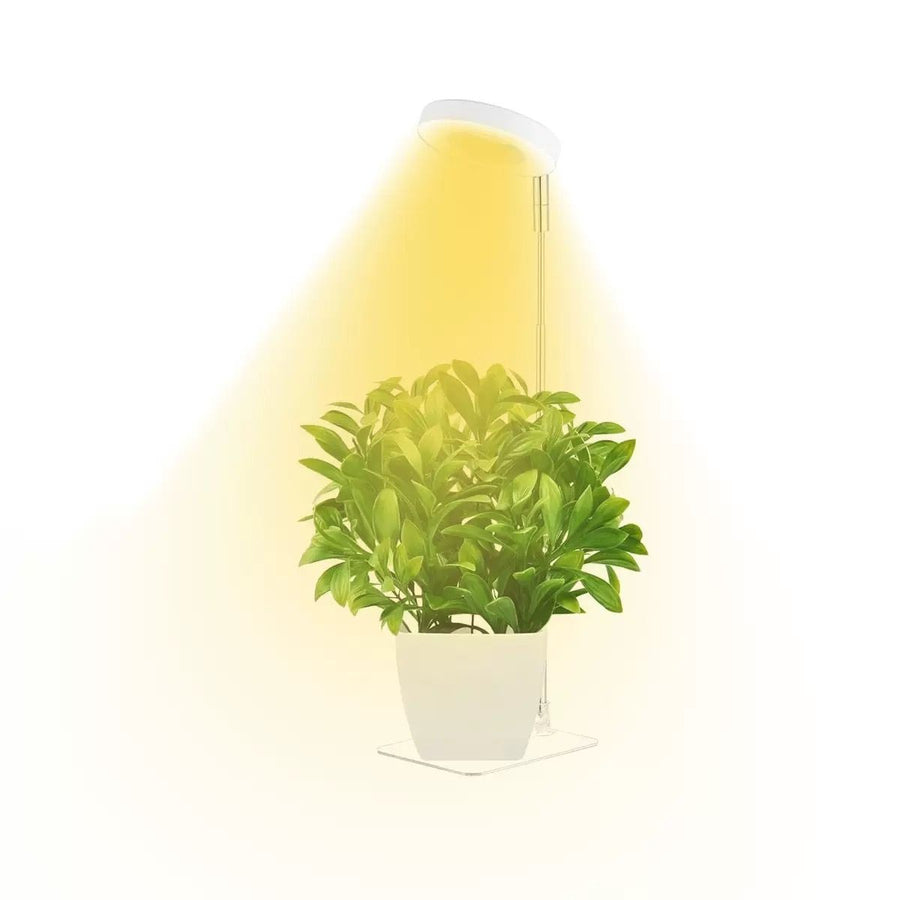 Full Spectrum LED Plant Grow Light with Telescopic Stand, Angel Ring Design, Dimmable Timer & Multi-Mode for Indoor Potted Plants, Succulents, and Home Desktop Decor (2PCS, Red Blue Warm Light（Black+Black Base))