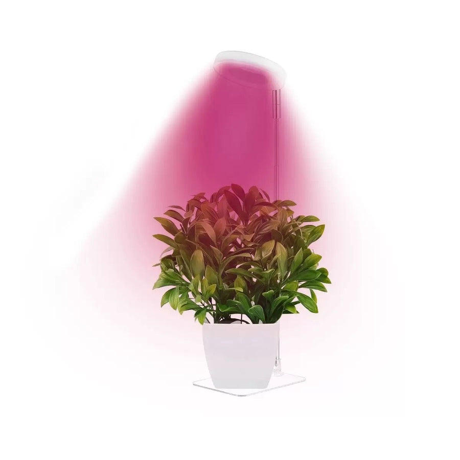Full Spectrum LED Plant Grow Light with Telescopic Stand, Angel Ring Design, Dimmable Timer & Multi-Mode for Indoor Potted Plants, Succulents, and Home Desktop Decor (3PCS, Warm White Light (Black+Black Base))