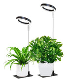 Full Spectrum LED Plant Grow Light with Telescopic Stand, Angel Ring Design, Dimmable Timer & Multi-Mode for Indoor Potted Plants, Succulents, and Home Desktop Decor (3PCS, Red Blue Light（White+Clear Base）)