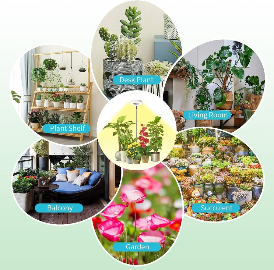 Full Spectrum LED Plant Grow Light with Telescopic Stand, Angel Ring Design, Dimmable Timer & Multi-Mode for Indoor Potted Plants, Succulents, and Home Desktop Decor (3PCS, Red Blue Light（White+Clear Base）)