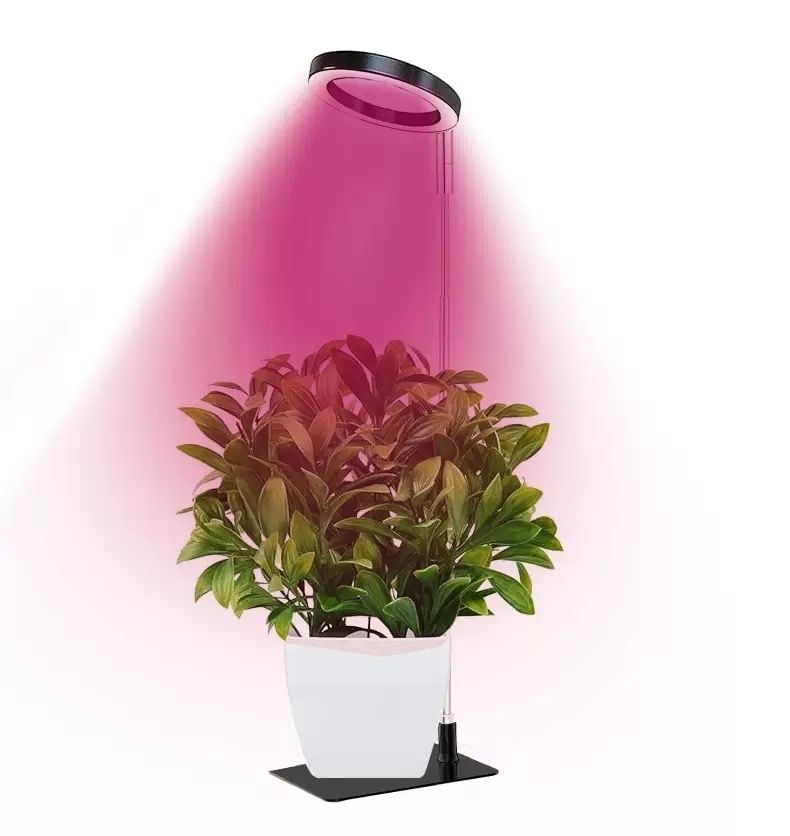 Full Spectrum LED Plant Grow Light with Telescopic Stand, Angel Ring Design, Dimmable Timer & Multi-Mode for Indoor Potted Plants, Succulents, and Home Desktop Decor (3PCS, Red Blue Light（White+Clear Base）)