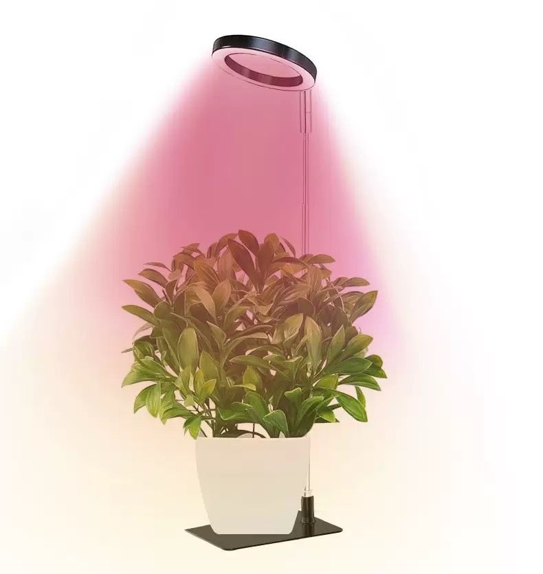 Full Spectrum LED Plant Grow Light with Telescopic Stand, Angel Ring Design, Dimmable Timer & Multi-Mode for Indoor Potted Plants, Succulents, and Home Desktop Decor (3PCS, Red Blue Light（White+Clear Base）)