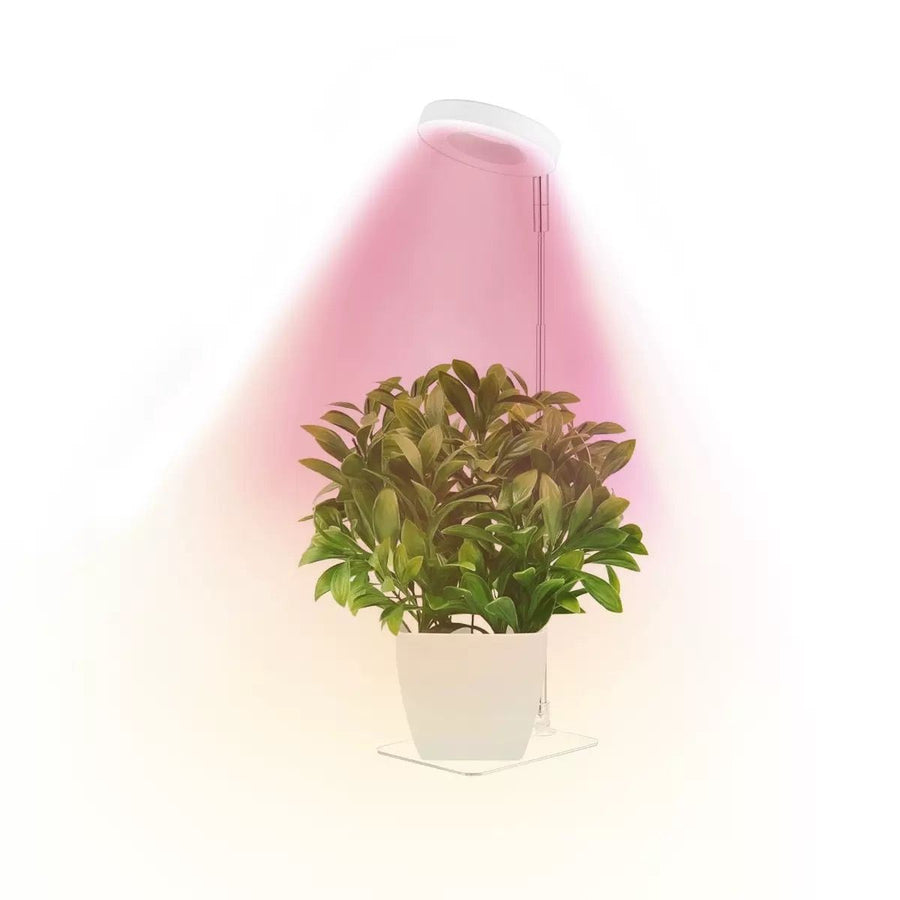 Full Spectrum LED Plant Grow Light with Telescopic Stand, Angel Ring Design, Dimmable Timer & Multi-Mode for Indoor Potted Plants, Succulents, and Home Desktop Decor (3PCS, Red Blue Light（Black+Black Base）)