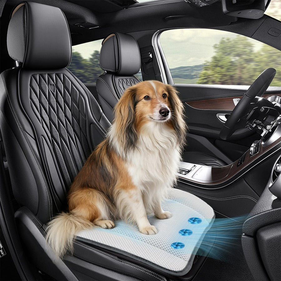 USB-Powered Pet Cooling Mat with Upgraded Fan Ventilation, Anti-Bite Cord, Breathable Mesh Surface for Dogs and Cats, Perfect for Floor, Sofa, or Car Seat Summer Comfort (Grey)