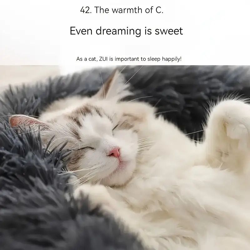 Plush Pet Nest Soft Donut Cat Bed – Cozy Round Couch for Cats and Small Dogs, Comfortable Sleeping Spot for Warmth and Deep Sleep, Suitable for Indoor Home Use (L, White)