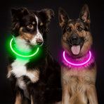 USB Rechargeable LED Glow Pet Collar, Soft Silicone Night Safety Dog & Cat Collar with 6 Colors, 3 Modes, Adjustable Length for Small, Medium, Large Pets, Ideal for Evening Walks and Outdoor Visibility (L, Red)