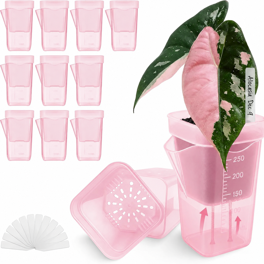 Semi-Transparent Pink Square Self-Watering Propagation Pot for Desktop Succulents, Seedlings, and Miniature Houseplants with Dry-Wet Separation System (2", 10PCS)