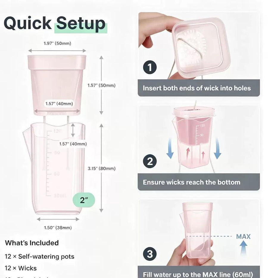 Semi-Transparent Pink Square Self-Watering Propagation Pot for Desktop Succulents, Seedlings, and Miniature Houseplants with Dry-Wet Separation System (2.5", 8PCS)