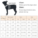 Dog Life Jacket Pet Swim Vest with Rescue Handle Reflective Strips Adjustable Quick Release Buckle for Beach River Lake Boating and Water Play Safety (2M, Red)