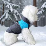 Winter Pet Dog Padded Vest with Waterproof Shell, Warm Fleece Lining, and Leash Attachment Ring for Outdoor Cold Weather Walks (3XL, Blue)