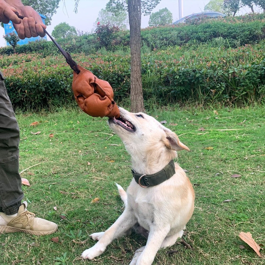 Interactive Leather Chew Ball for Dogs with Durable Rope Handle – Ideal for Puppy Training, Dental Chewing, Outdoor Fetch, and Bonding Play for Small to Medium Breeds (Red)