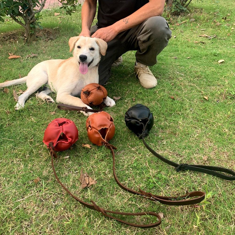 Interactive Leather Chew Ball for Dogs with Durable Rope Handle – Ideal for Puppy Training, Dental Chewing, Outdoor Fetch, and Bonding Play for Small to Medium Breeds (Red)