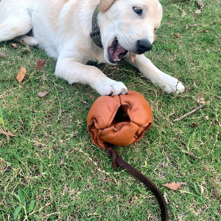 Interactive Leather Chew Ball for Dogs with Durable Rope Handle – Ideal for Puppy Training, Dental Chewing, Outdoor Fetch, and Bonding Play for Small to Medium Breeds (Red)