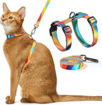 Adjustable Anti-Escape Cat Harness and Leash Set – Soft, Breathable, and Lightweight for Safe Outdoor Adventures with Your Feline Friend (Orange)