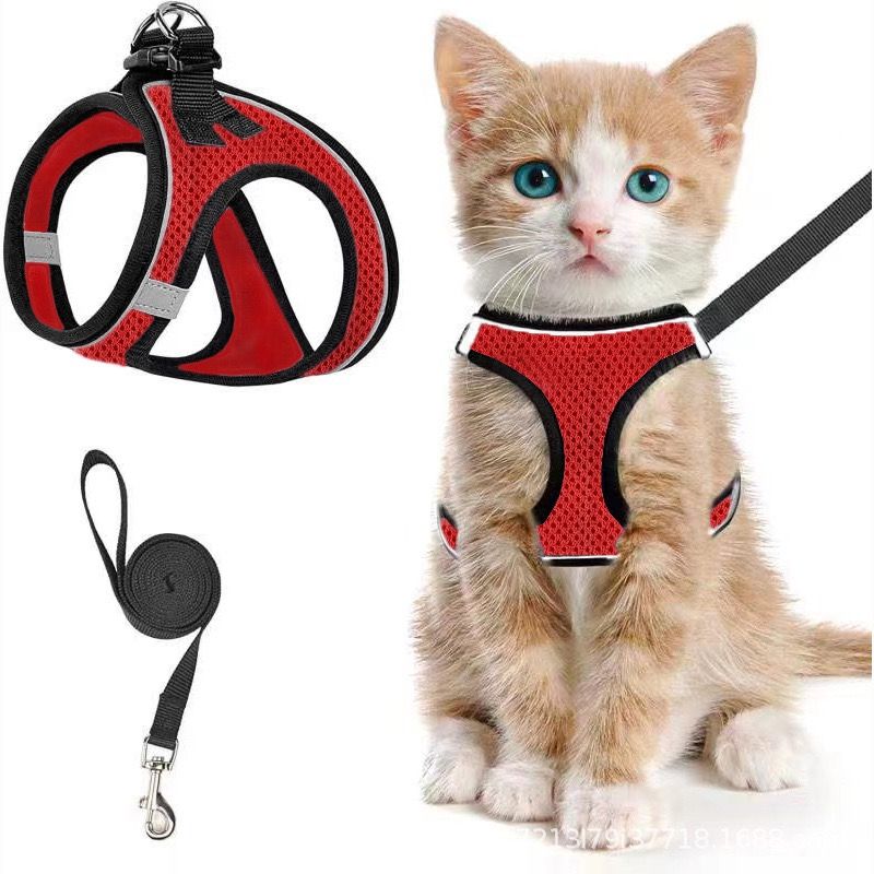Escape-Proof Cat Harness and Leash Set with Reflective Soft Mesh Vest for Safe Outdoor Adventures with Your Feline Friend (M, Mint)