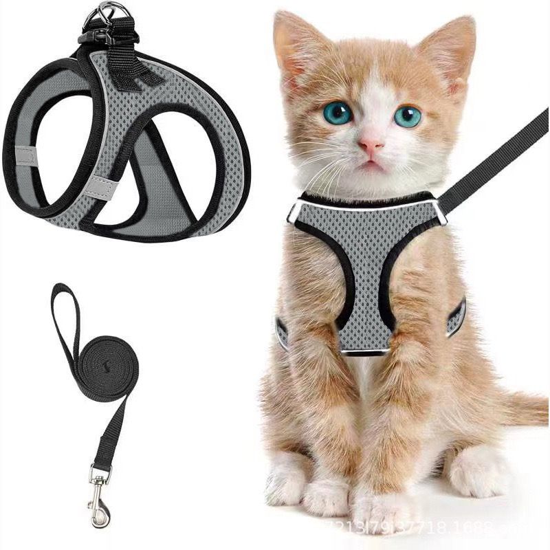 Escape-Proof Cat Harness and Leash Set with Reflective Soft Mesh Vest for Safe Outdoor Adventures with Your Feline Friend (M, Purple)