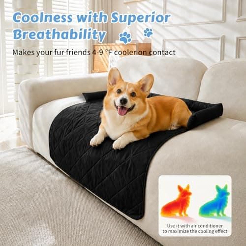 Cooling Pet Mat with Bolster Side Support – Scratch-Resistant, Self-Cooling, Non-Slip Base for Cats & Small to Medium Dogs, Perfect for Sofa, Floor, Car, or Outdoor Use (S, Champagne)