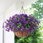 Artificial Petunia Hanging Flower Arrangement Red White Blue Flowers Outdoor - Multi-color - Size 10