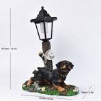 Resin Hummingbird Solar Lamp Outdoor Garden Sculpture Couple Hummingbird - Multi-color - Size 10