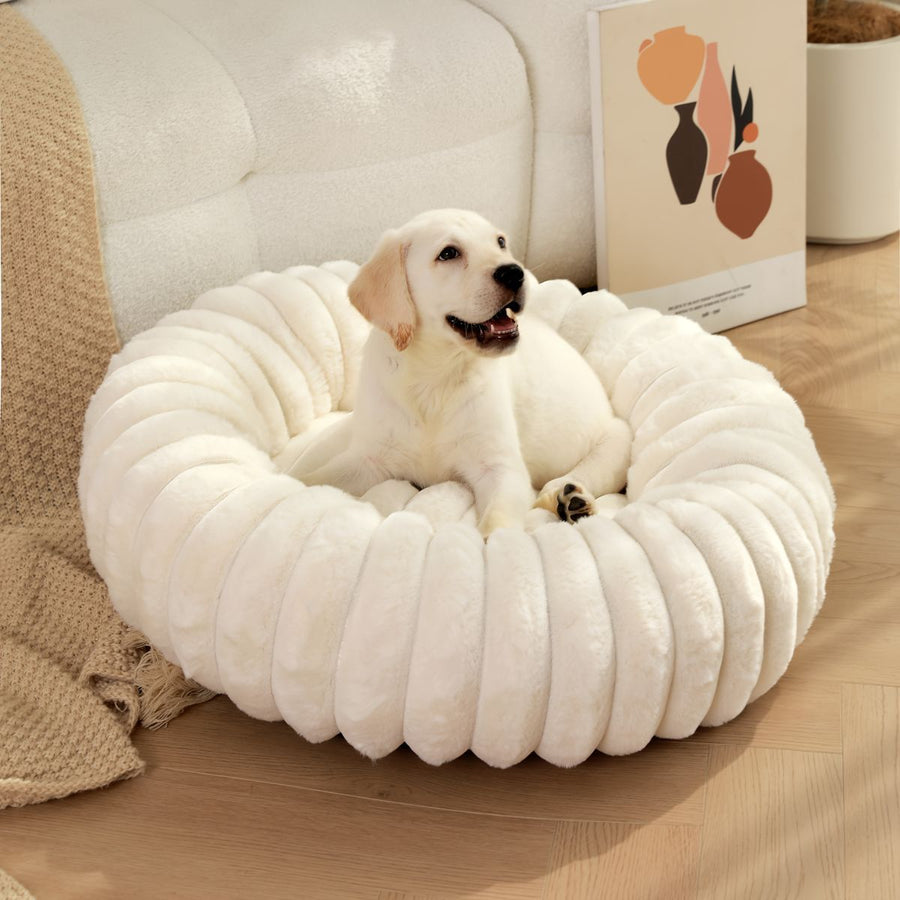 Pet Bed Dog Bed Cat Bed Small Dog Bed Medium Dog Bed Plush Pet Bed All-Season - Purple - Size 50-20-20