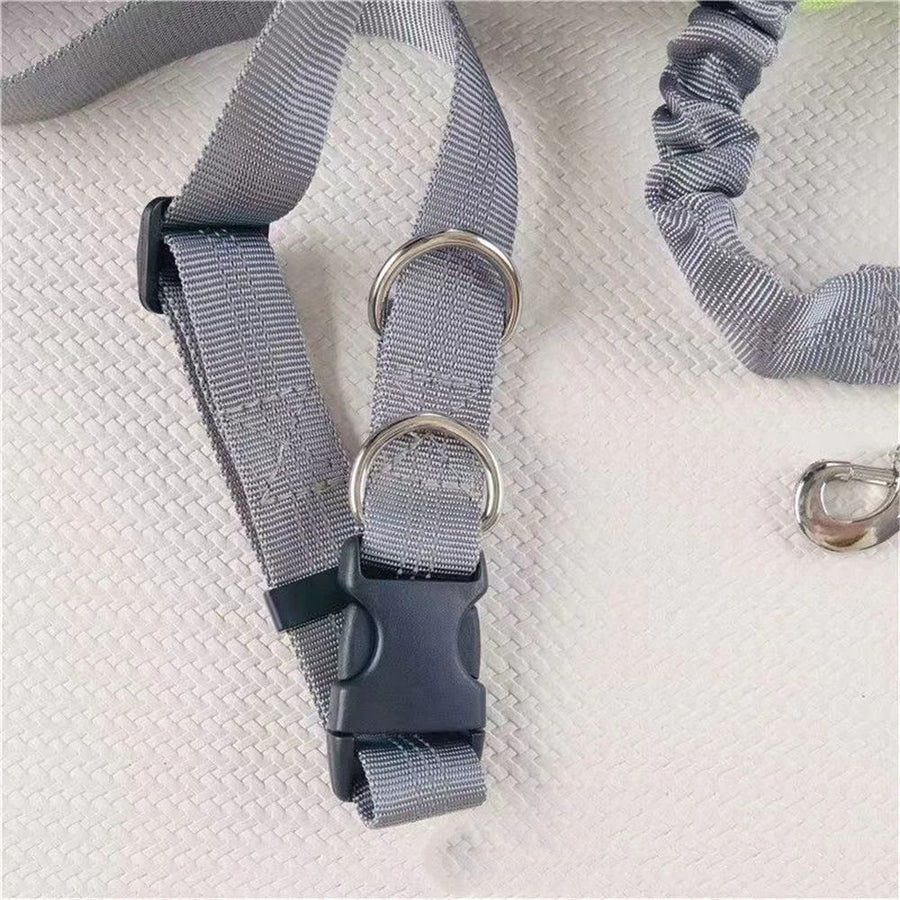Tuff Mutt Hands Free Dog Leash for Walking Running Hiking, Waist Leash with Bungee, Adjustable Belt, Reflective Double Handle Design for Large Medium Dogs