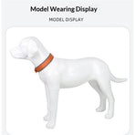 Pet  Dog Collar, Reflective, Adjustable Heavy Duty Dog Collar, Soft Padded and Comfortable, for Small Medium and Large Dogs (Orange, M)