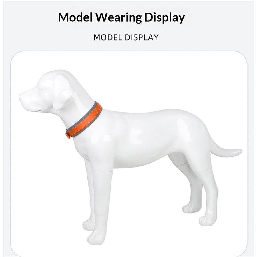 Pet  Dog Collar, Reflective, Adjustable Heavy Duty Dog Collar, Soft Padded and Comfortable, for Small Medium and Large Dogs (Orange, M)