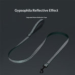 Waterproof Dog Leash,Durable Odor-Proof Dog Leashes with Strong Metal Hooks Fits Small Medium or Large Dogs （green M）