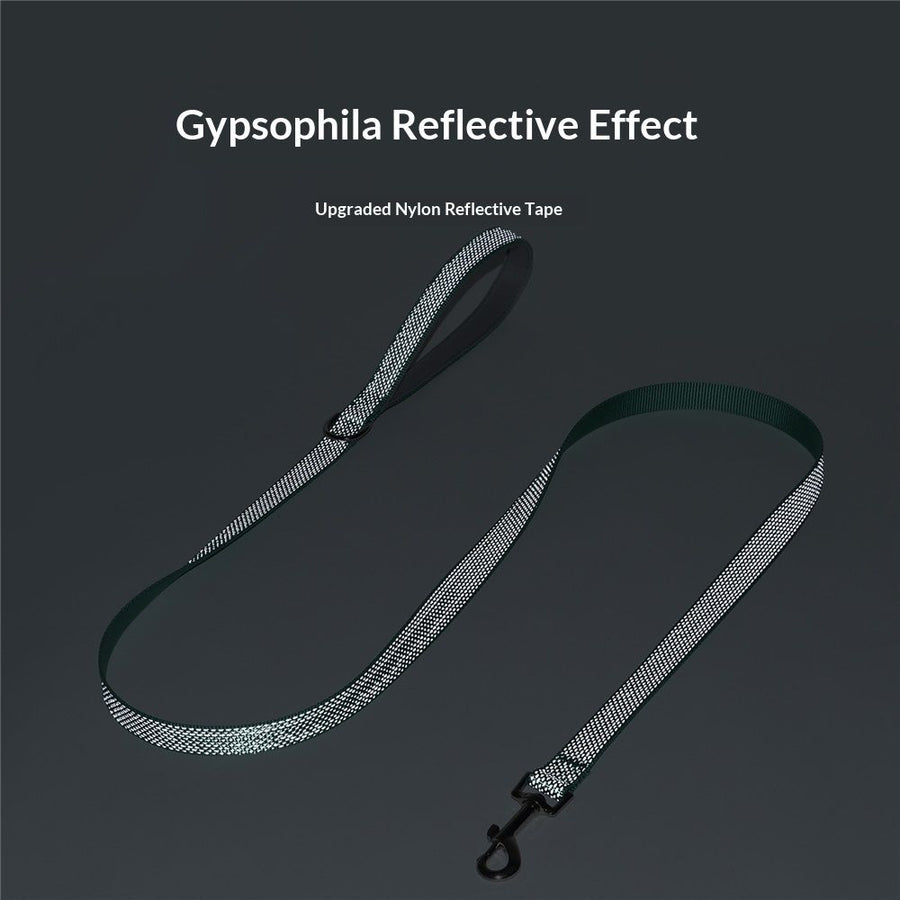 Waterproof Dog Leash,Durable Odor-Proof Dog Leashes with Strong Metal Hooks Fits Small Medium or Large Dogs （green M）