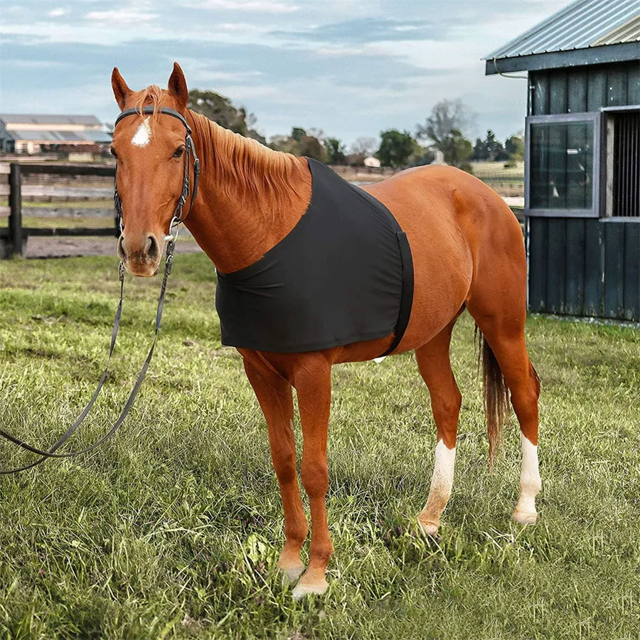 Horse Shoulder Guard, High Elastic Fabric Horse Vest - Anti-Rub Bib Comfortable scratch resistant protective vest- Black (Size)