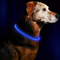 USB Rechargeable Luminous Collar for Dogs, Designed to Prevent Loss S Vibrant Blue