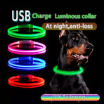 USB Rechargeable Luminous Collar for Dogs, Designed to Prevent Loss S Vibrant Blue
