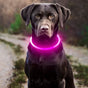 USB Rechargeable Luminous Collar for Dogs, Designed to Prevent Loss L Bright Pink