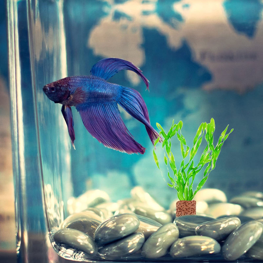 Aquatic Water Plant Fixed Ring for Aquarium Plant Weights Gravity Pot Ring Decor Pottery Holder Plant Fixed Cup