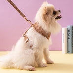 Dog Strap Collar Pulling Rope Set Body Circle Small Dog Strap Inspection Design with Handle Mesh Material Gentle to the Body Vest
