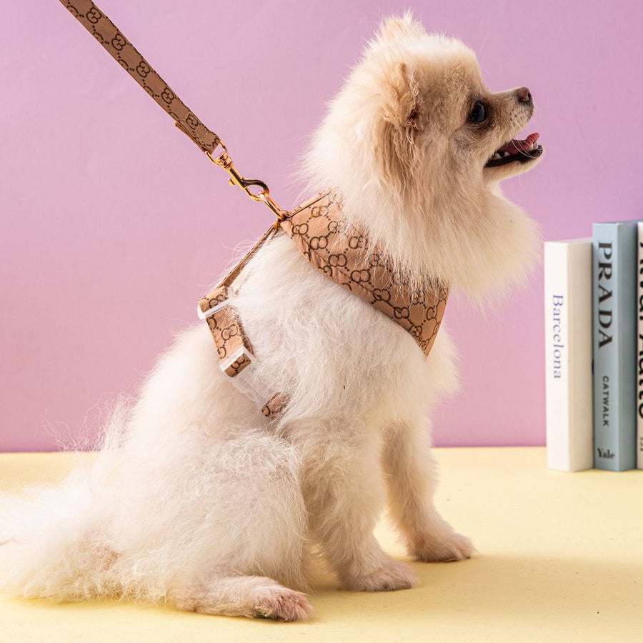 Dog Strap Collar Pulling Rope Set Body Circle Small Dog Strap Inspection Design with Handle Mesh Material Gentle to the Body Vest