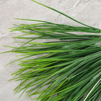 5pcs Artificial Fake Grass Plants Flowers Faux Plastic Wheat Grass Outdoor UV Resistant Greenery Shrubs Plant