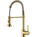 Polished Gold Kitchen Faucet with Pull Down Sprayer,Single Handle Spring Single Hole Faucet for Kitchen Sink