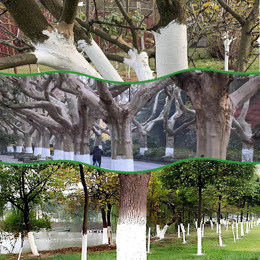 Long-Lasting Tree Whitewash Agent,525g 18.51oz White Whitewash Paint for Wood,White Tree Coating for Winter Cold (1PCS)
