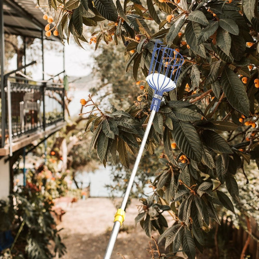 1Pc Blue Fruit Harvester Lightweight Outdoor Gardening Tool for Picking Peaches