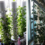 80X Hydroponic Vertical Tower Container DIY Hydroponic Planting Cup Flower Container Plant Growth Pot Cup